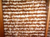 Elisabete Maria Faria da Costa.jpg