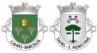 União de Freguesias de Campo e Tamel (São Pedro Fins).jpg
