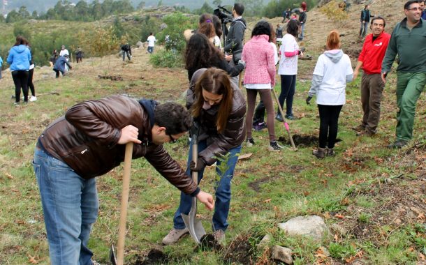 município promoveu ação de reflorestação em aldreu