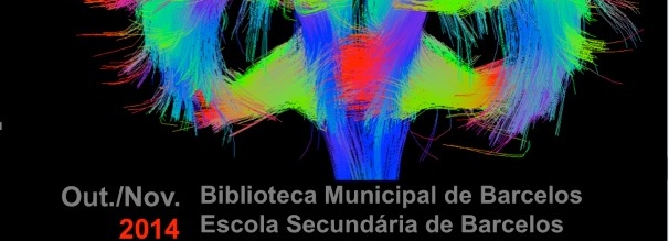 Câmara Municipal de Barcelos e Universidade do Minho promovem palestras sobre envelhecimento e doenças degenerativas
