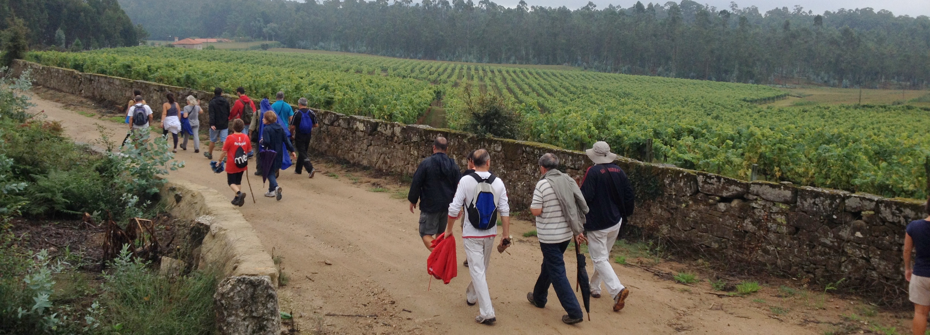 Programa “Caminhar para conhecer Barcelos” realizou etapa dedicada ao vinho e ao património
