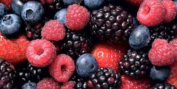 formação sobre frutos silvestres - alteração de...