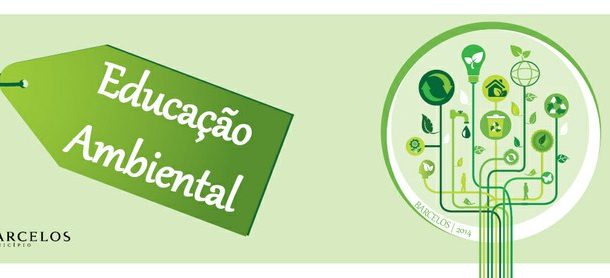 aprenda tudo sobre flores comestíveis
