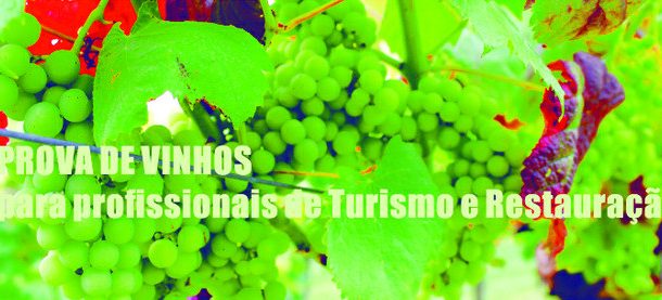 barcelos ”branco e tinto” realiza-se sábado, di...