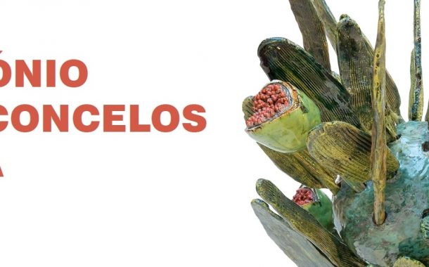 antónio vasconcelos lapa expõe no museu de olaria