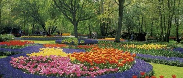 câmara municipal promove formação “plantas para...