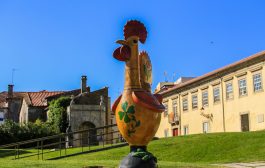 câmara municipal aprova apoios ao desporto no v...