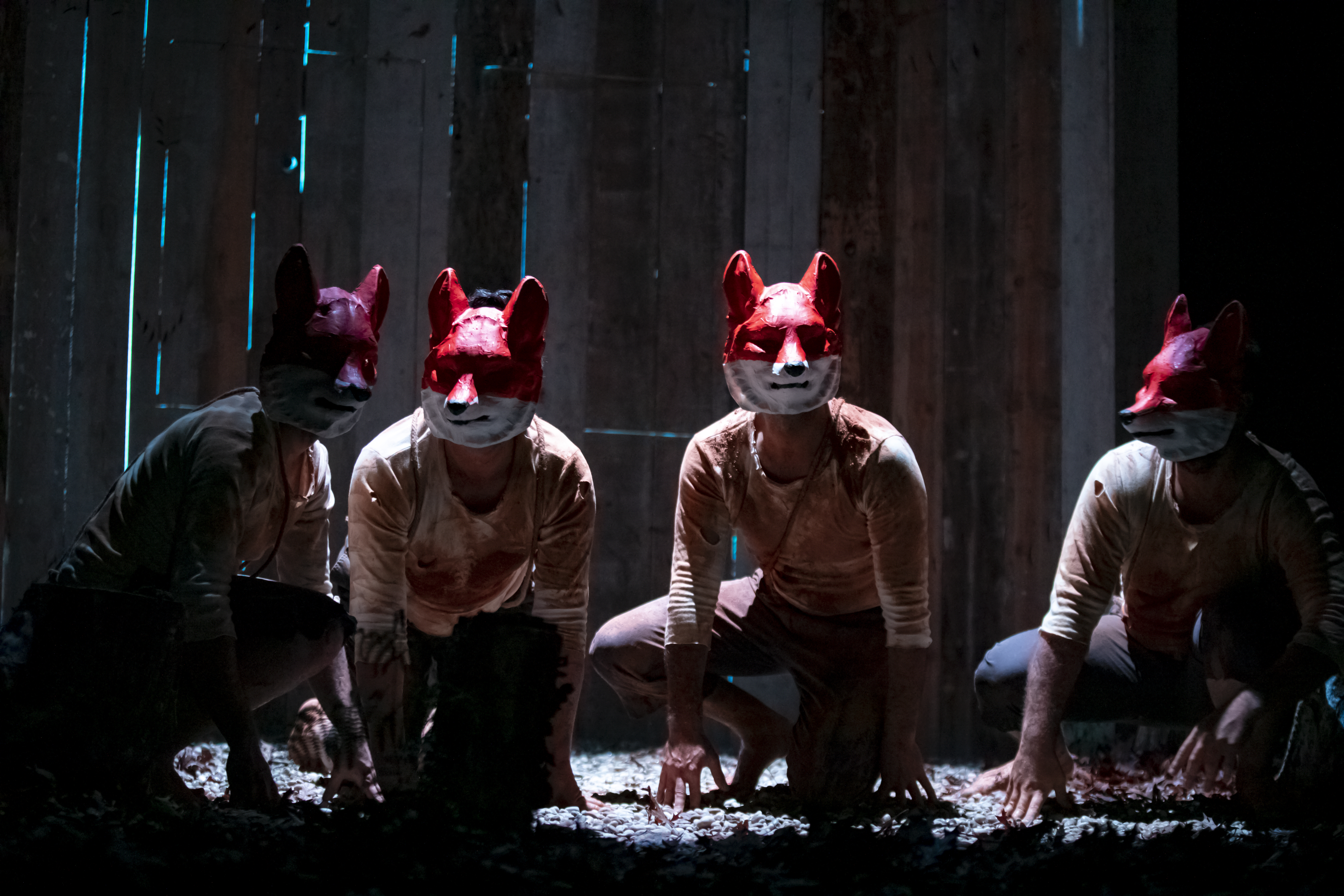 “Raposos” do Teatro de Balugas distinguido no Festival de Teatro de Barcelos