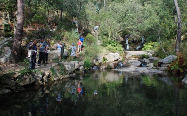 programa “caminhar para conhecer barcelos” regr...