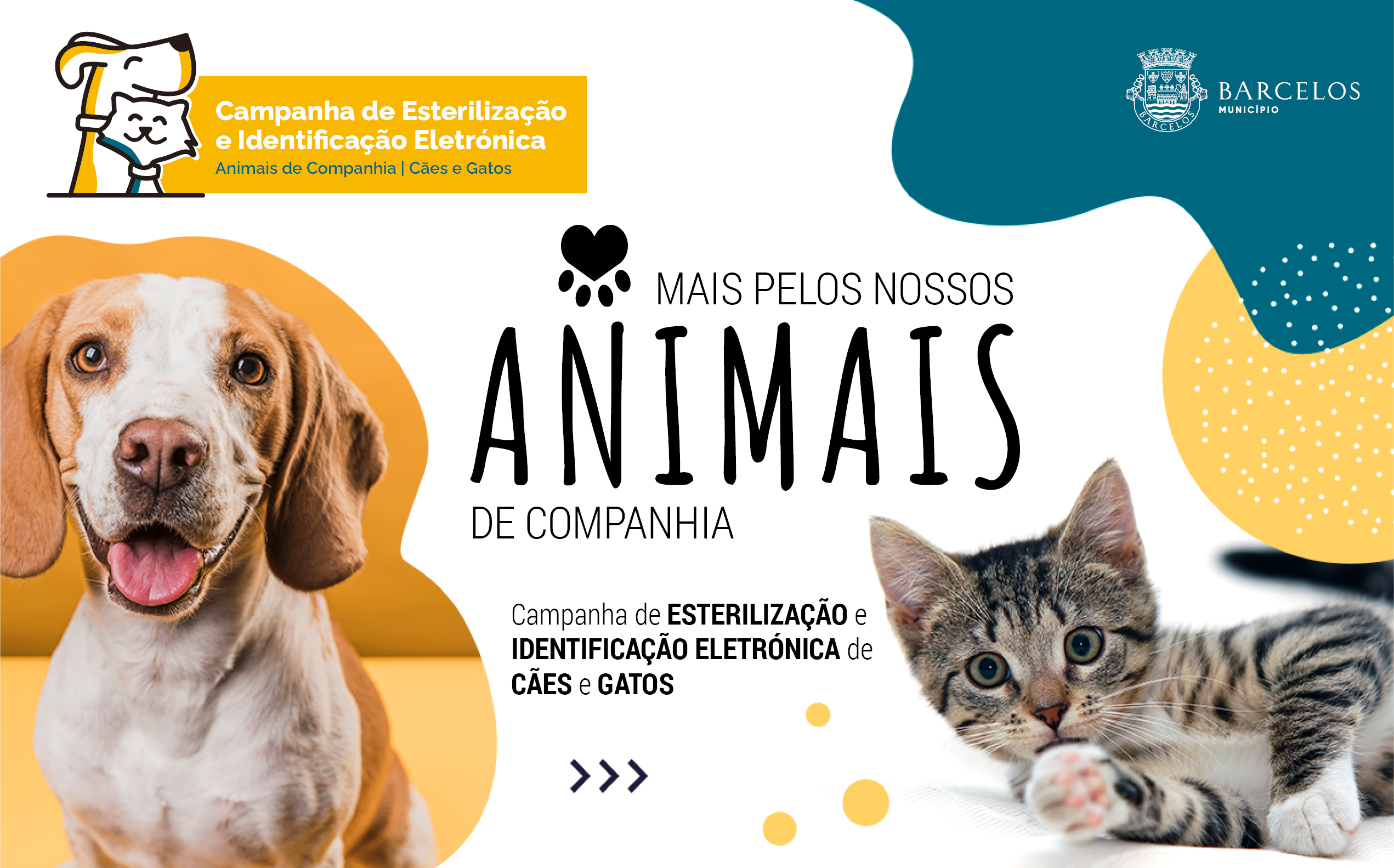 Campanha de apoio à esterilização e identificação eletrónica de cães e gatos de companhia