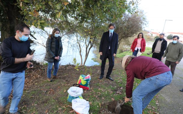 barcelos assinala dia da floresta autóctone