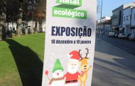 Jardim de Infância de Chavão vence Concurso “Natal Ecológico”