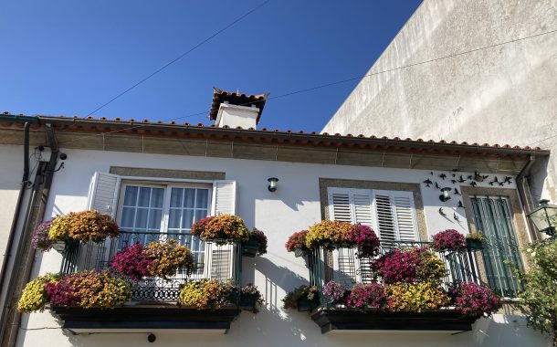 concurso barcelos florido com 32 participantes