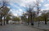 Município vai substituir dez árvores no Campo da Feira