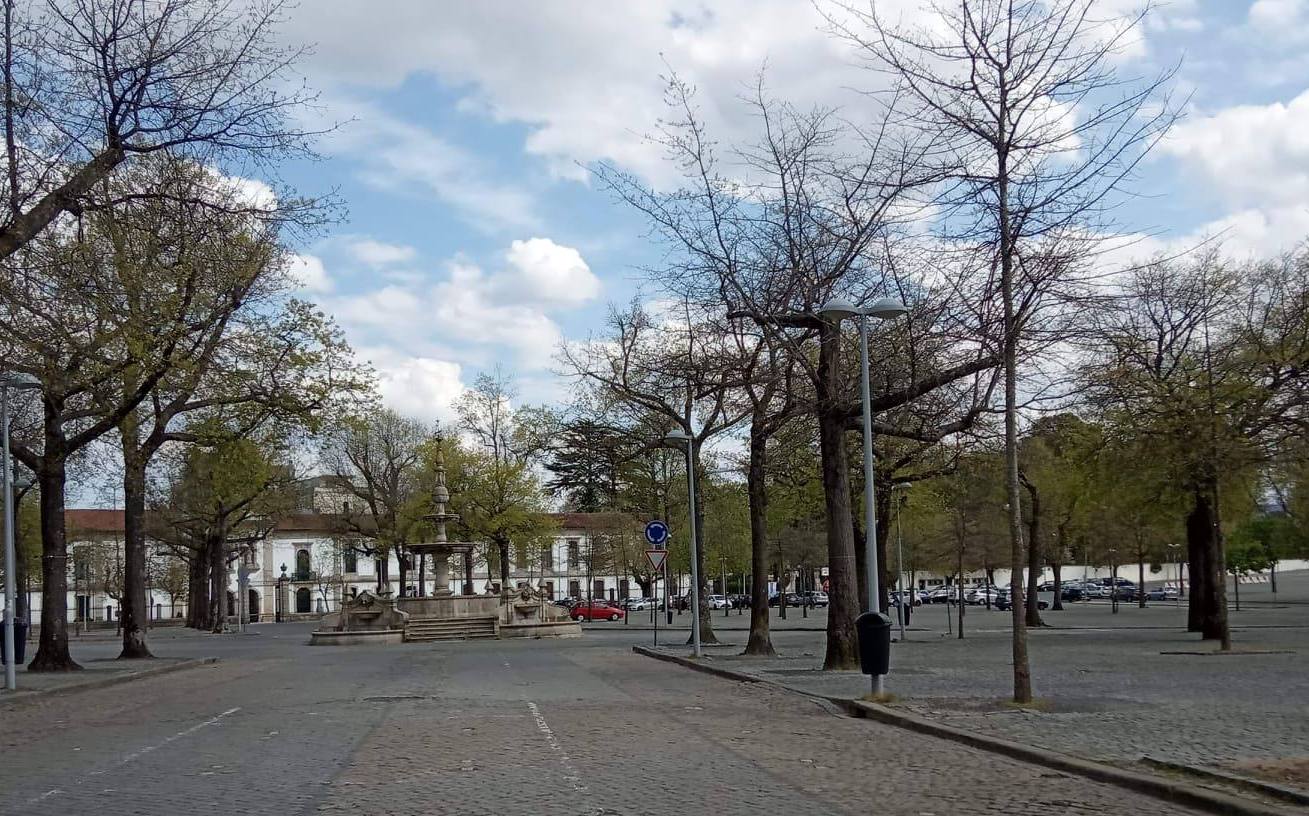 Município vai substituir dez árvores no Campo da Feira