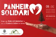 câmara oferece 150 “pinheirinhos de natal”