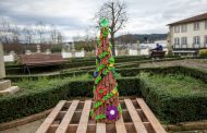 jardim de infância de martim