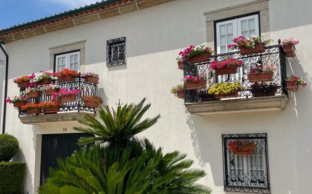 concurso barcelos florido com 36 participantes