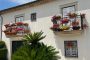 concurso barcelos florido com 36 participantes