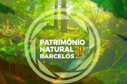 concurso de fotografia “património natural de b...