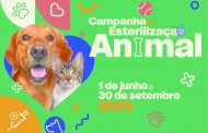 barcelos lança campanha de esterilização animal...