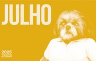 Espetáculos ao ar livre animam a programação de julho do Theatro Gil Vicente