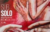 Quatro novas exposições em quatro espaços municipais