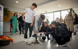 escola de vila cova acolhe a cadela pintinhas
