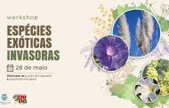 Barcelos promove workshop sobre espécies exóticas invasoras