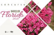 Concurso Barcelos Florido está de volta e promete colorir as ruas da cidade